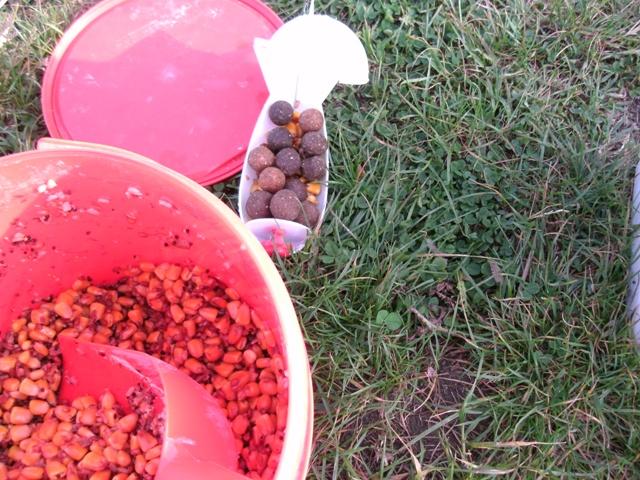 Lac 2 Bunget - Bratesti - gedc0339.JPG